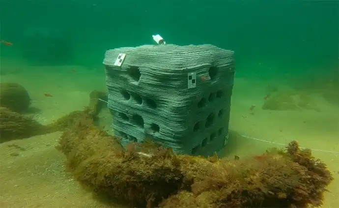 Innovación en la Bahía: Micro Arrecifes para la Biodiversidad Marina en Santander