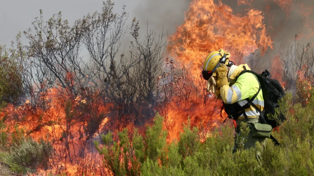 Detenido un exfontanero por provocar incendios en Teba: un conflicto político detrás del fuego