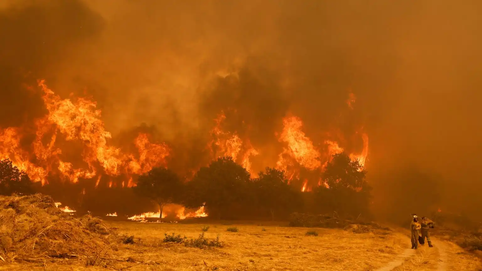 La Respuesta Militar ante la Crisis de Incendios en España