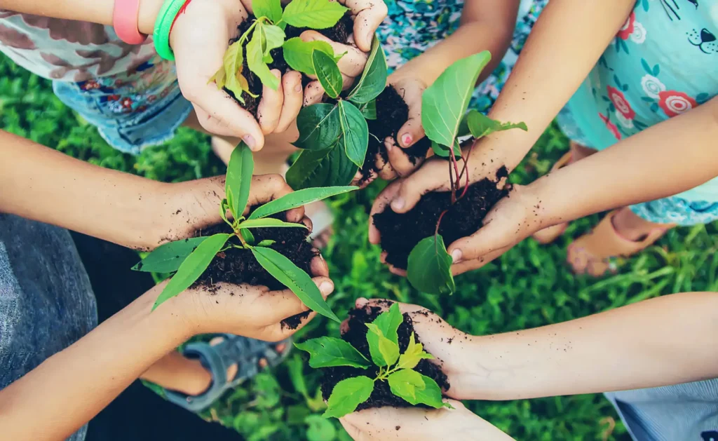 El Gobierno Español y la Búsqueda de un Pacto Verde: Desafíos y Oportunidades