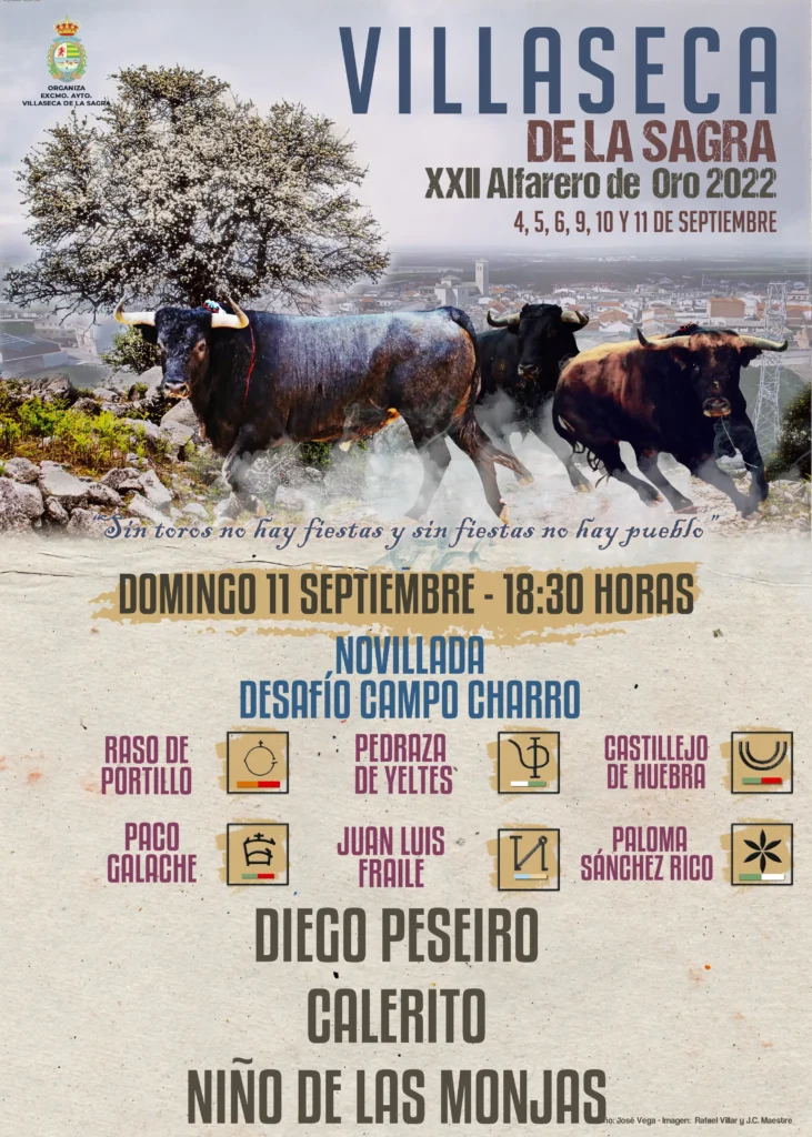 Desafíos en la Plaza: La Dura Lidia de los Novillos en Villaseca