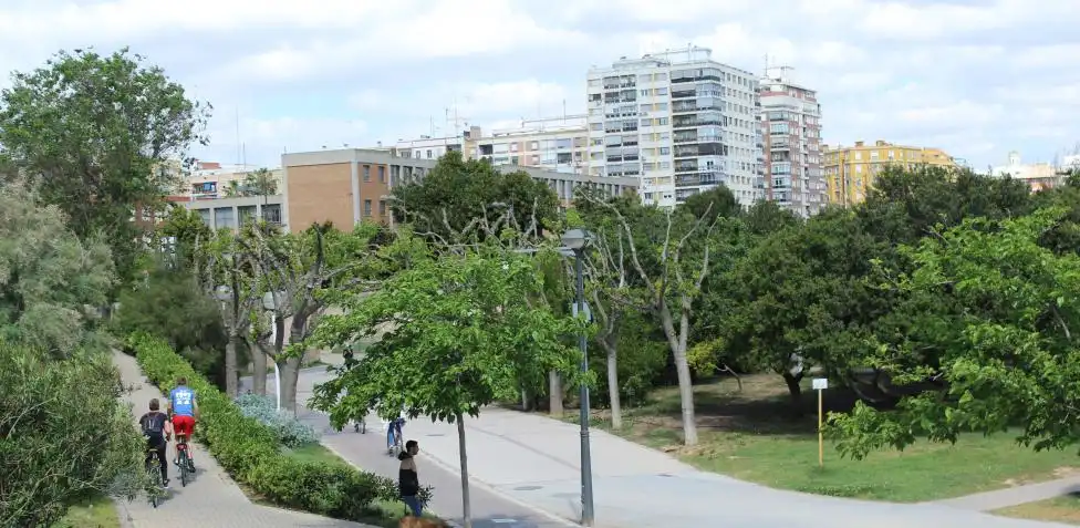 Inversiones y Resiliencia: El Futuro del Jardín del Turia y la AVL