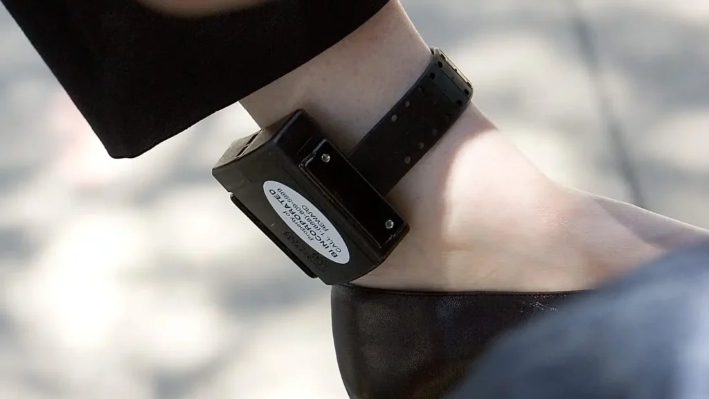 Desafíos en el Sistema de Pulseras Antimaltratadores: Un Análisis Crítico