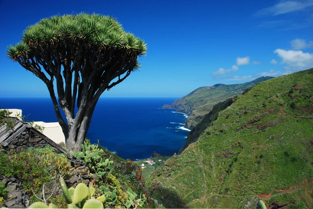 La Palma: Un Paraíso de Naturaleza y Aventura