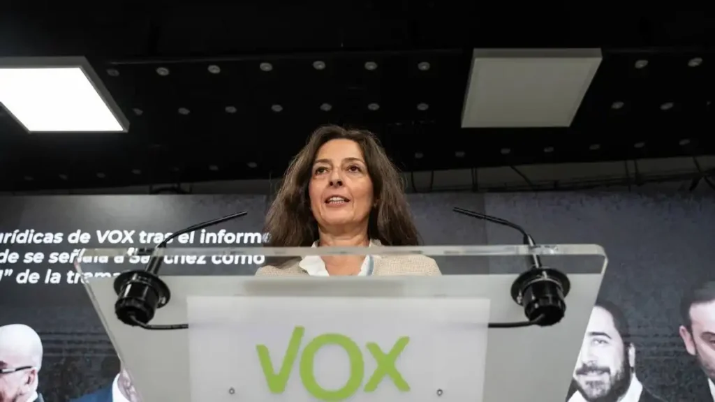 Desestimación del recurso de Vox sobre la gestión de la dana en Valencia