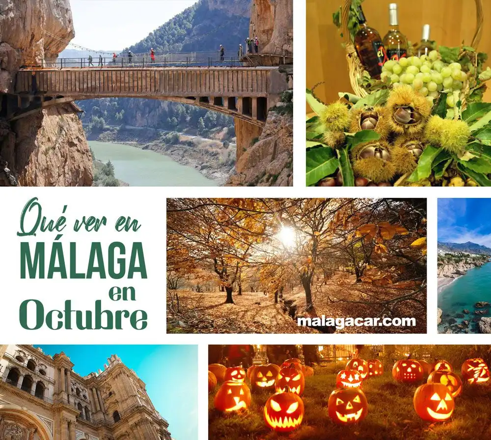 Actualidad en Málaga: Principales Acontecimientos del 24 de Octubre de 2025