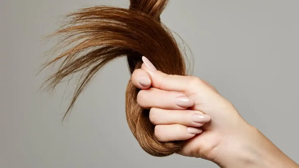 El Cabello como Reflejo de la Salud: Lo que Debes Saber