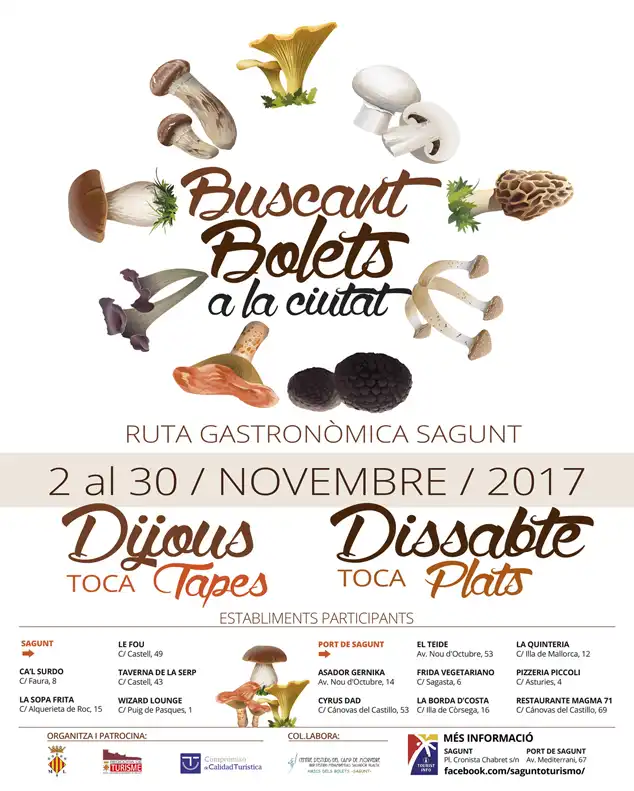 La Pasión por los Hongos: Un Evento Micológico en Sagunt