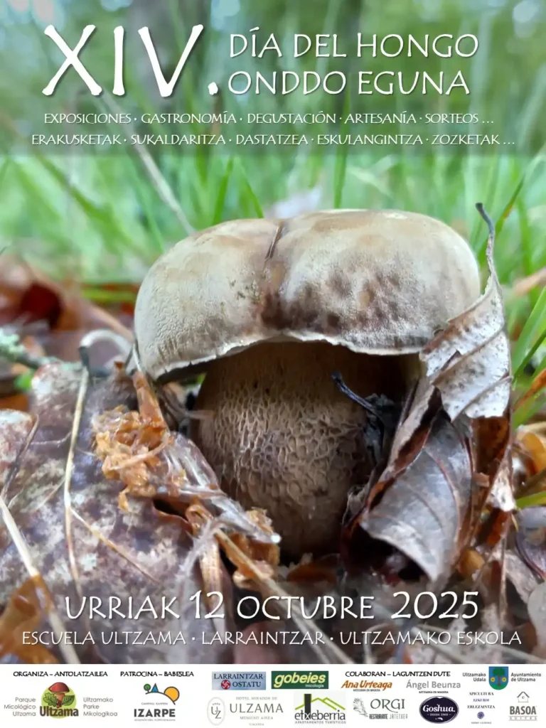 La Celebración de los Hongos en Sagunt: Un Evento que Conecta Naturaleza y Gastronomía