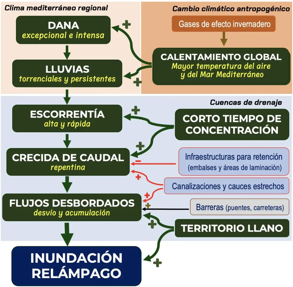Desafíos y Soluciones en la Gestión de Inundaciones en València