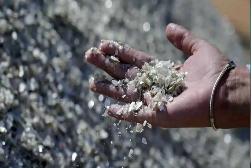 Acuerdo Estratégico entre Estados Unidos y Japón para el Suministro de Minerales Críticos