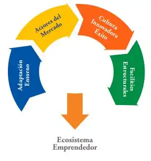 Impulso y Conexiones: La Transformación del Ecosistema Emprendedor en Valencia
