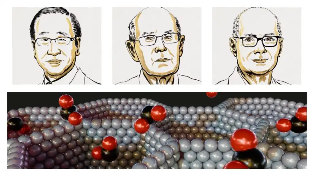 Innovaciones Químicas: Estructuras Metal-Orgánicas y su Impacto en el Futuro