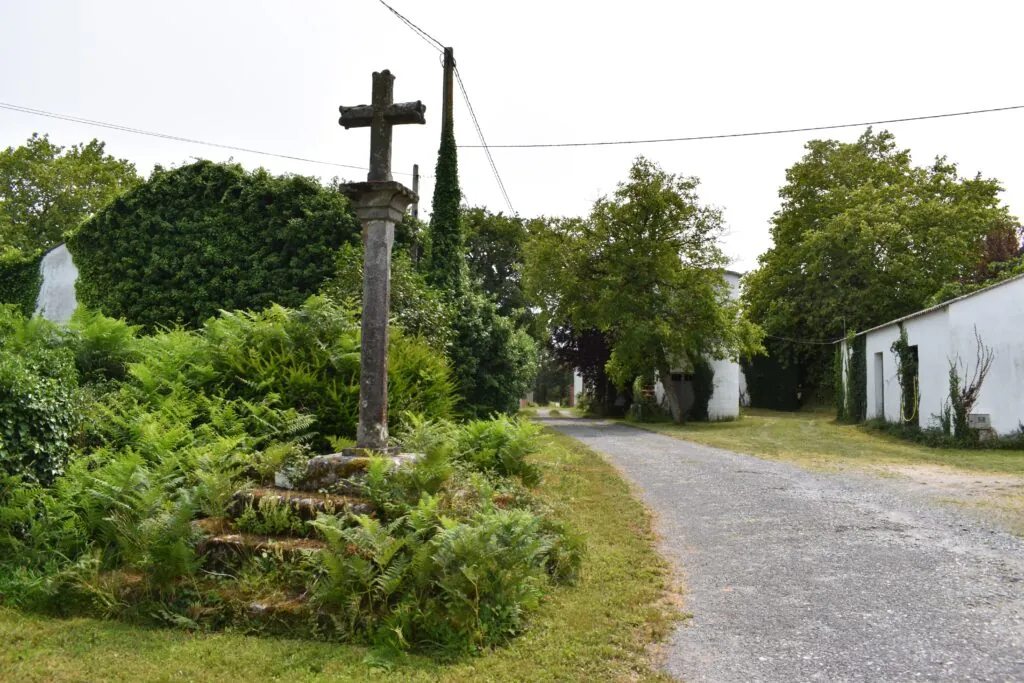 Luis Tosar: Raíces Gallegas y Recuerdos de Infancia en Xustás