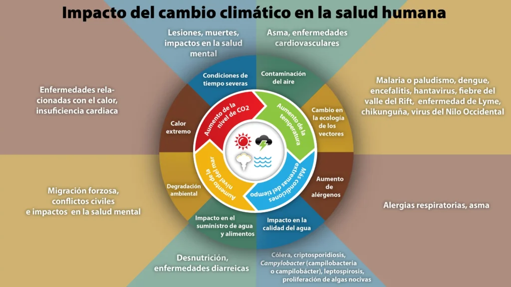 El Impacto del Cambio Climático en la Salud: Un Llamado Urgente a la Acción
