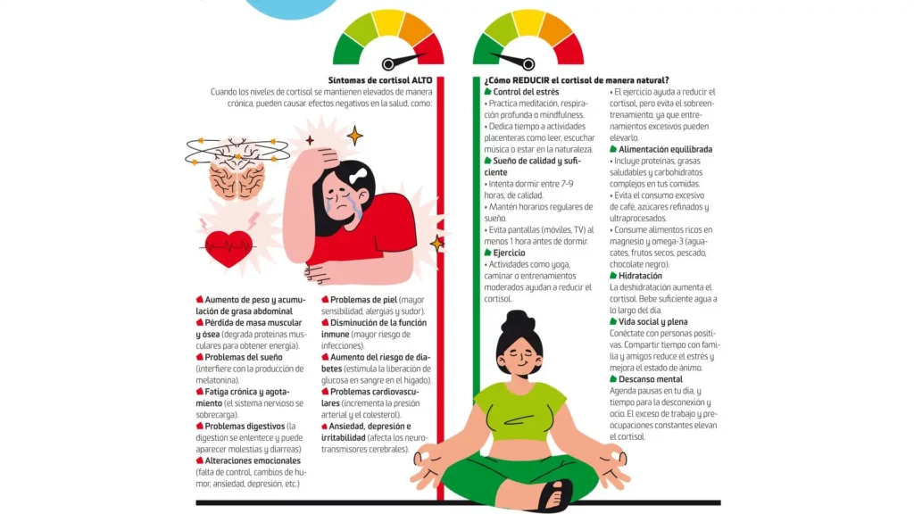 El Cortisol: La Hormona del Estrés y Cómo Controlarla