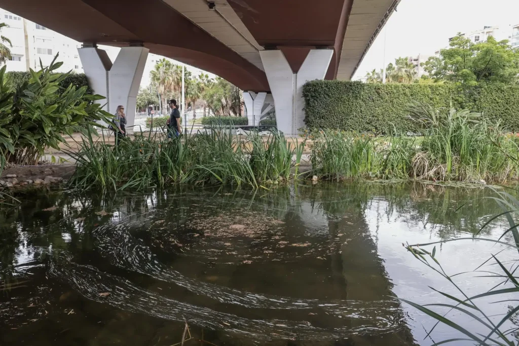 La lucha vecinal por el Parque del Mar de Alicante: un espacio olvidado