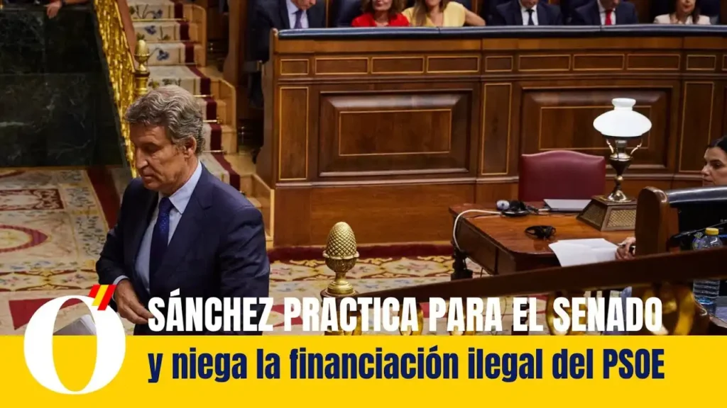 Pedro Sánchez y la Controversia de la Financiación del PSOE: Revelaciones en el Senado