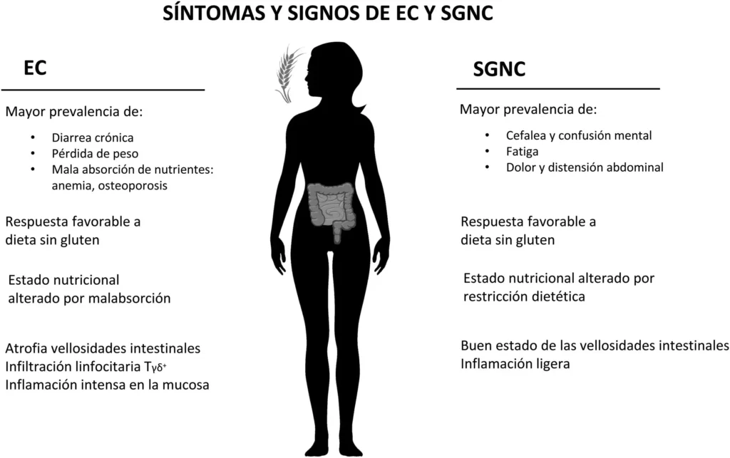 La Sensibilidad al Gluten: Un Problema en Aumento y sus Implicaciones