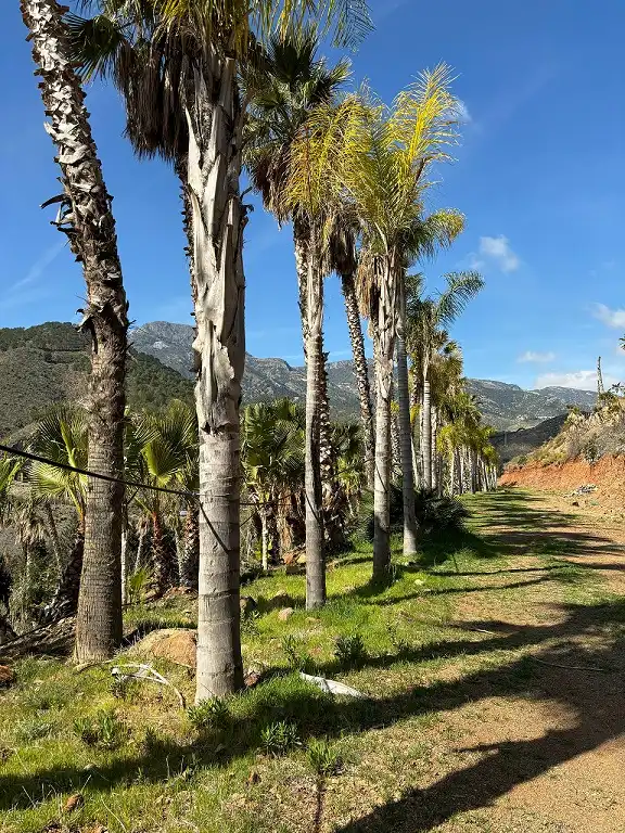 Carratraca da el primer paso hacia el mayor parque temático de naturaleza en Europa