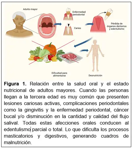 El Envejecimiento Dental: Causas, Consecuencias y Soluciones