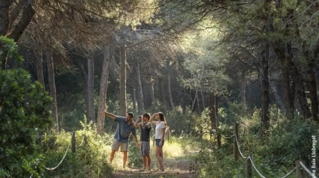 Explorando el Bosque de Can Camins: Un Refugio Natural en Barcelona