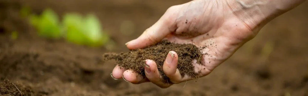 La Degradación del Suelo: Un Desafío Global para la Seguridad Alimentaria