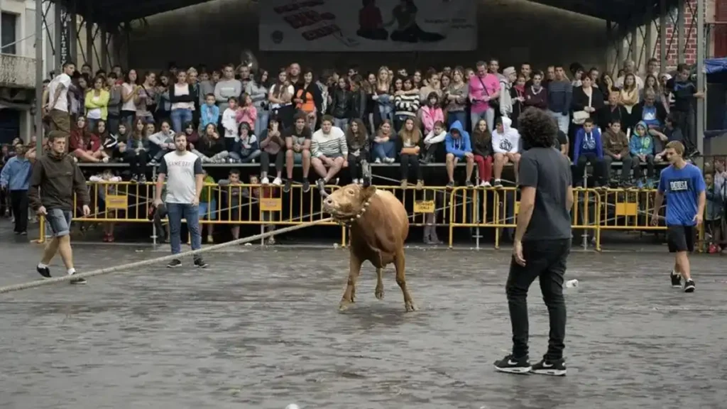 La Nueva Ley para la Protección de la Tauromaquia en el País Vasco