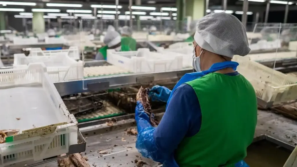 El fenómeno de las empresas inactivas en Galicia: Un análisis preocupante