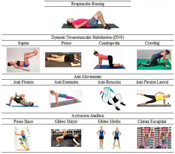 Errores Comunes en la Alimentación para Entrenamientos de Fuerza