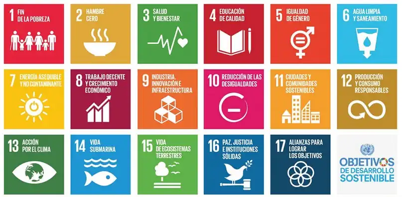 Desafíos y Propuestas en el Ministerio de Consumo y Derechos Sociales