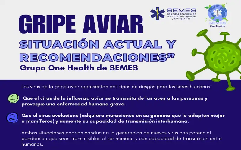Nuevas Alertas de Salud: Gripe Aviar y su Impacto en España