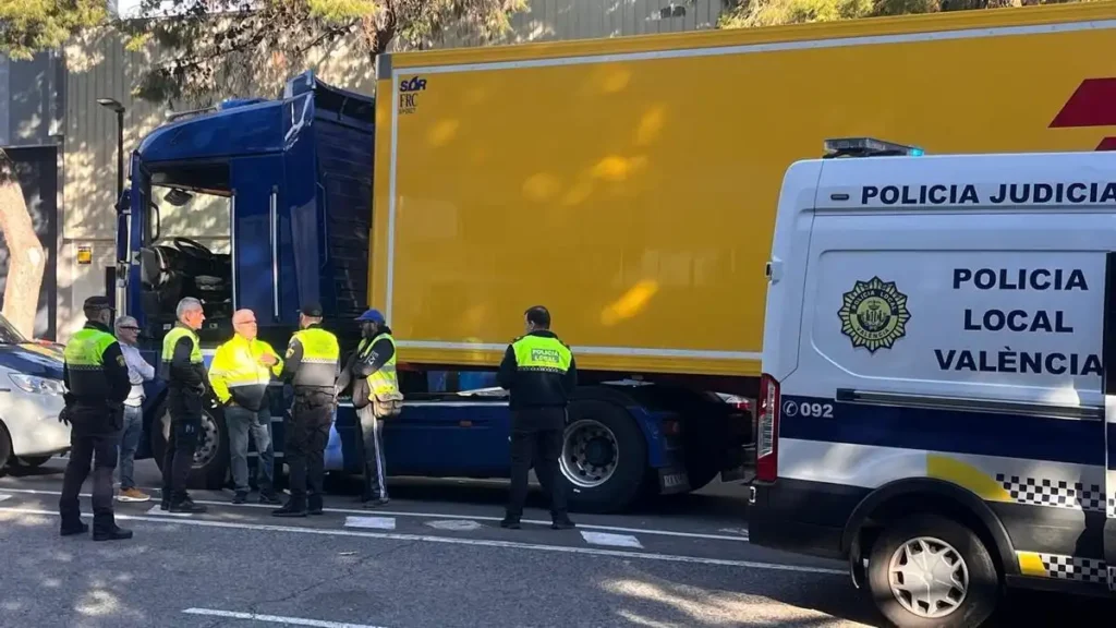 La Trágica Realidad de los Atropellos en la Comunidad Valenciana