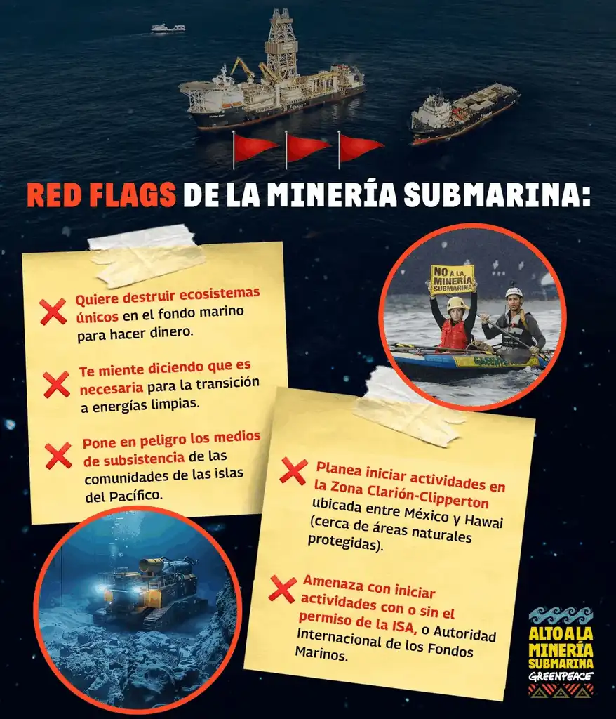 La Minería Submarina y su Amenaza a la Vida Marina