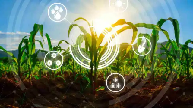 Innovaciones en Agricultura: El Futuro Sin Fertilizantes Artificiales