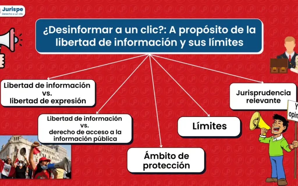 El Impacto de la Sentencia sobre la Privacidad y la Libertad de Información en España