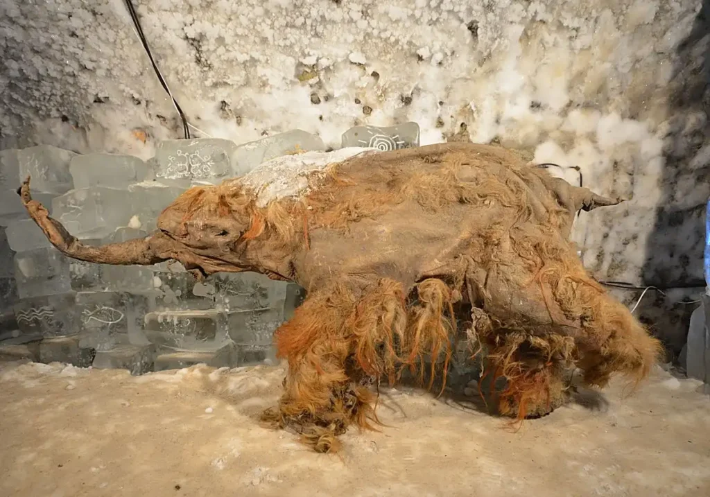El descubrimiento del ARN más antiguo: un mamut revela secretos de la Edad de Hielo