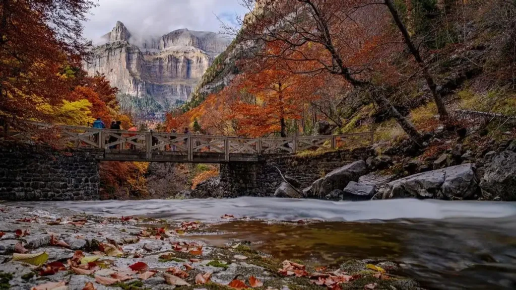 Descubre la Belleza del Otoño en los Parques Nacionales de España