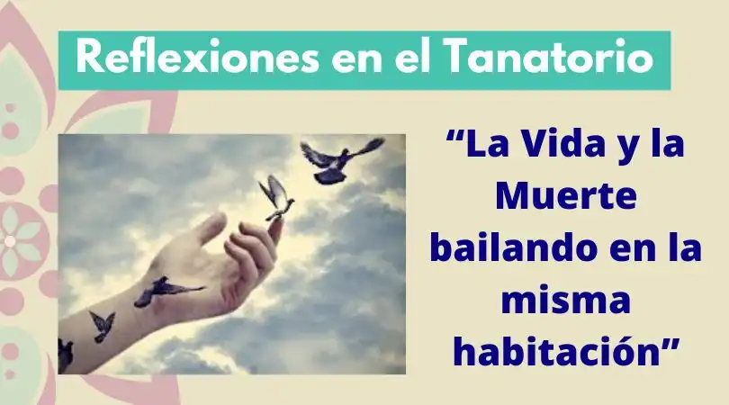 Reflexiones sobre la Muerte y la Vida en el Tanatorio