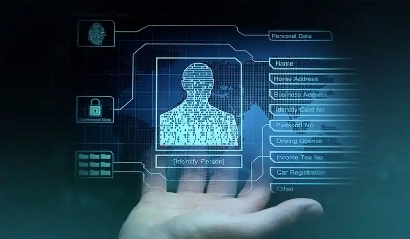 Navegando la Era Digital: Cómo Encontrar Información en un Mar de Contenidos