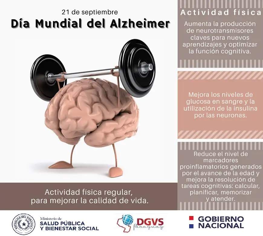 La Relación Entre la Salud Muscular y el Alzheimer: Nuevas Perspectivas en la Investigación