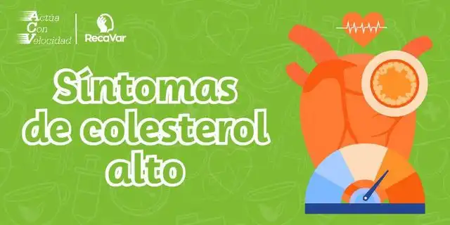 Señales de Alerta: Cómo Reconocer el Colesterol Alto Sin Análisis
