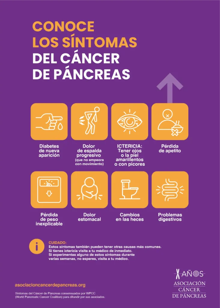 Identificando el Cáncer de Páncreas: Síntomas Clave a Tener en Cuenta
