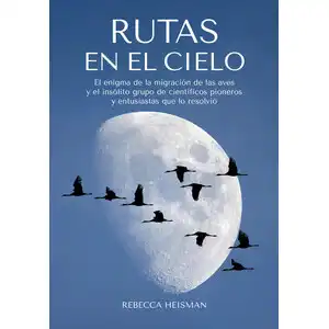El Enigma de las Aves Errantes: Exploradoras de Nuevas Rutas Migratorias