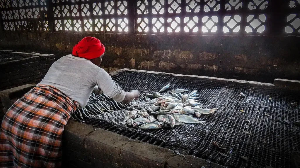 La Pesca Ilegal en Gambia: Un Problema Crónico que Afecta a Comunidades Locales
