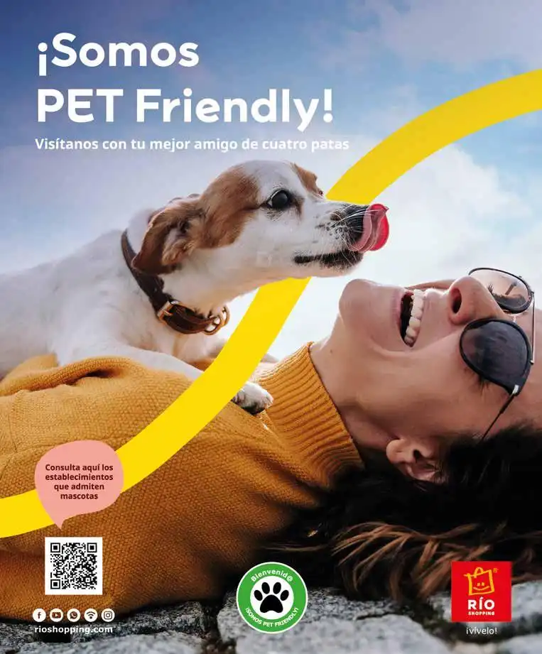 Innovaciones en el Cuidado de Mascotas: La Nueva Línea PetBuddy de Ufesa