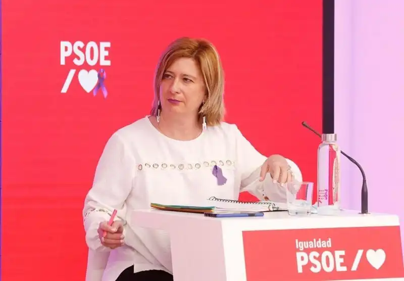 Investigación Judicial sobre la ‘Fontanera’ del PSOE: Testigos Clave Citados