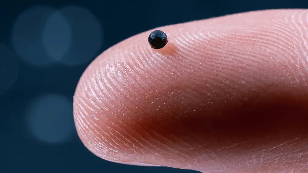 Innovación en Medicina: Microrobots que Transforman el Tratamiento de Coágulos Sanguíneos