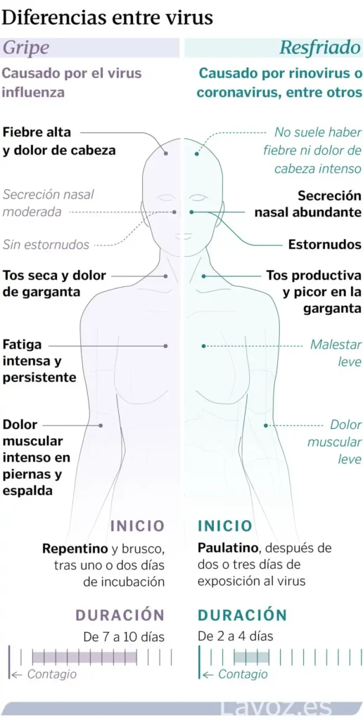 Diferencias Clave entre Gripe y Gastroenteritis: Lo que Debes Saber