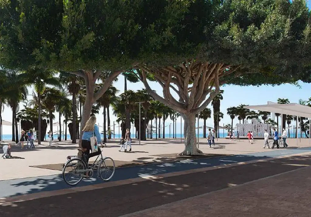 Transformación del Paseo Marítimo de El Palo: Un Proyecto Participativo